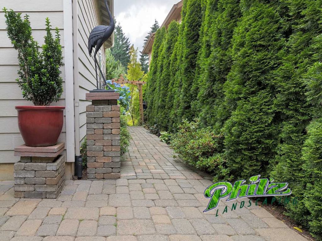benefits of hardscaping