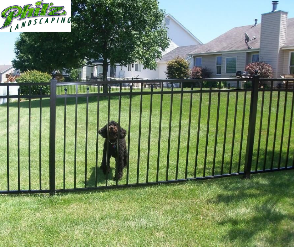 Expert Advice: Top Picks for Dog Fences for Superior Fence Installation in Woodlyn, PA 2 Dog Fences for Superior Fence Installation in Woodlyn, PA