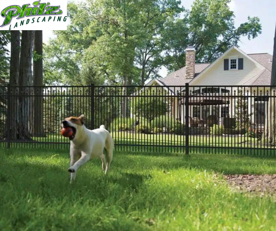 Expert Advice: Top Picks for Dog Fences for Superior Fence Installation in Woodlyn, PA 1 Dog Fences for Superior Fence Installation in Woodlyn, PA